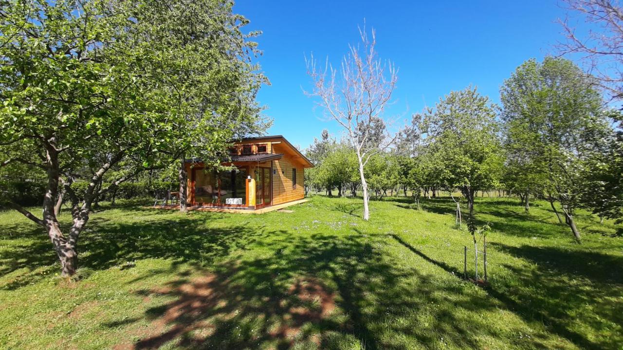 Villa Tiny House Grabovac à Rakovica Extérieur photo