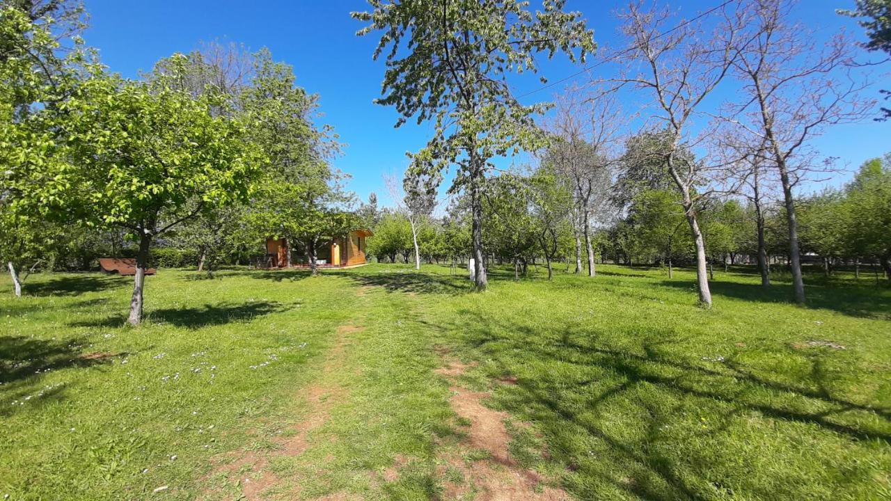 Villa Tiny House Grabovac à Rakovica Extérieur photo