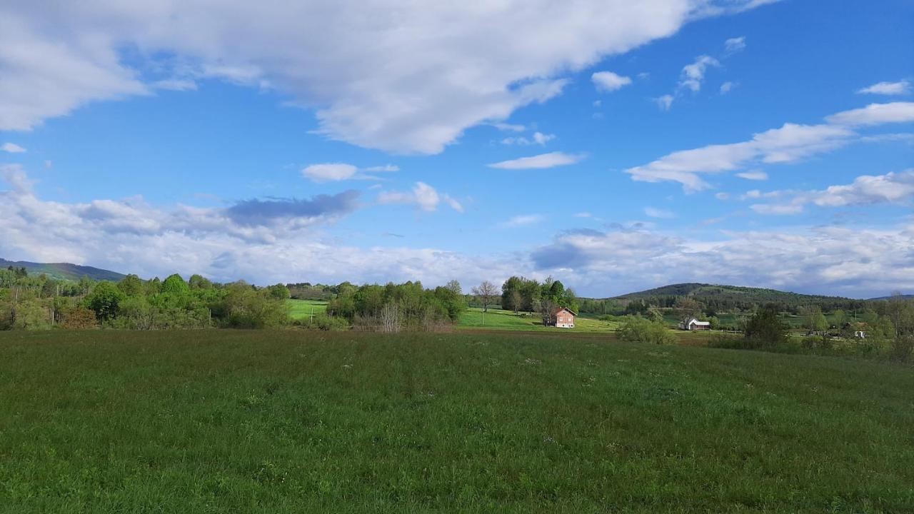 Villa Tiny House Grabovac à Rakovica Extérieur photo
