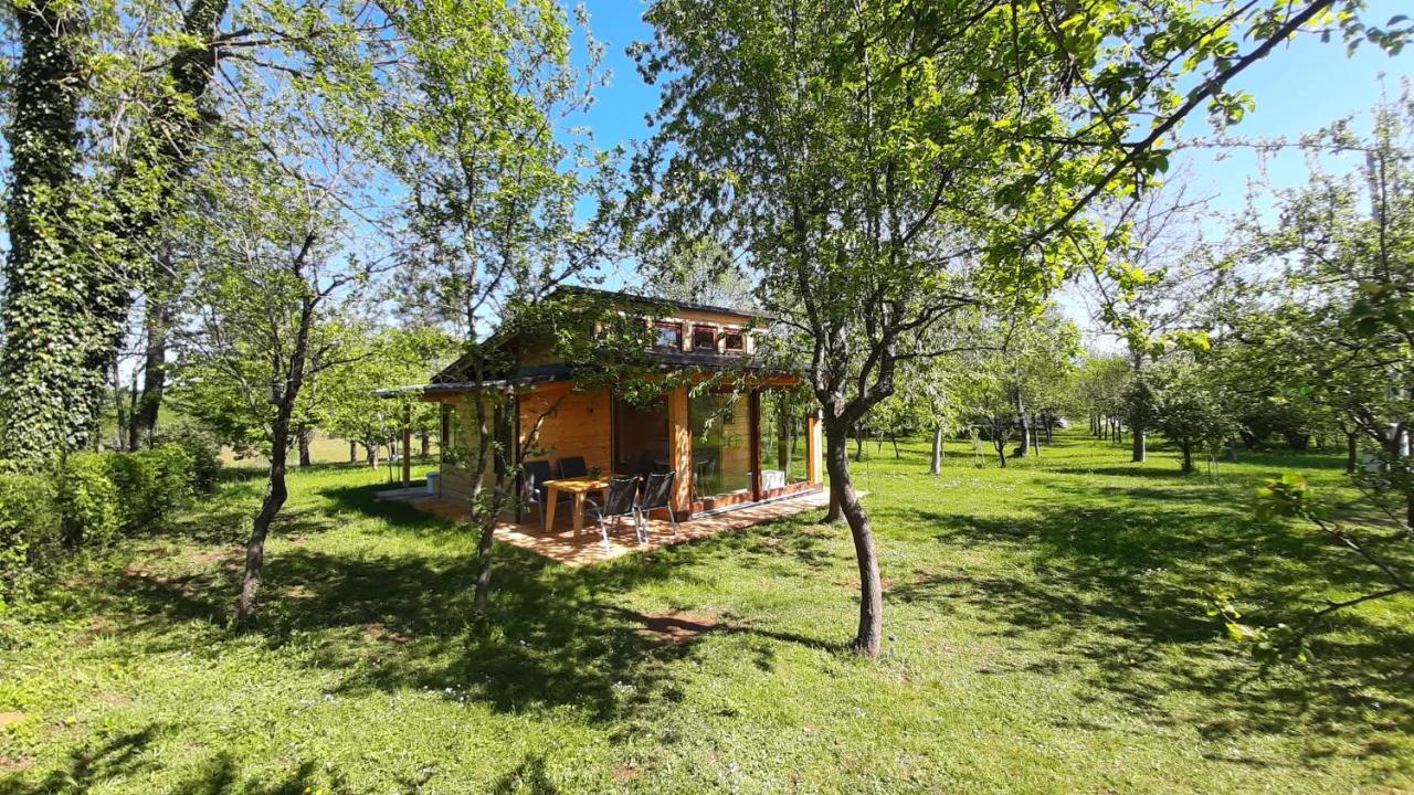 Villa Tiny House Grabovac à Rakovica Extérieur photo